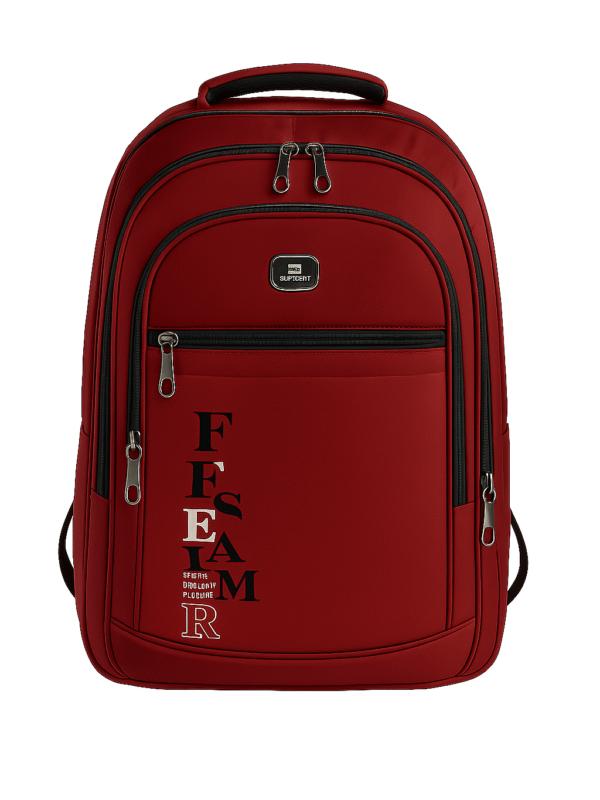 stylish bag (Backpack)