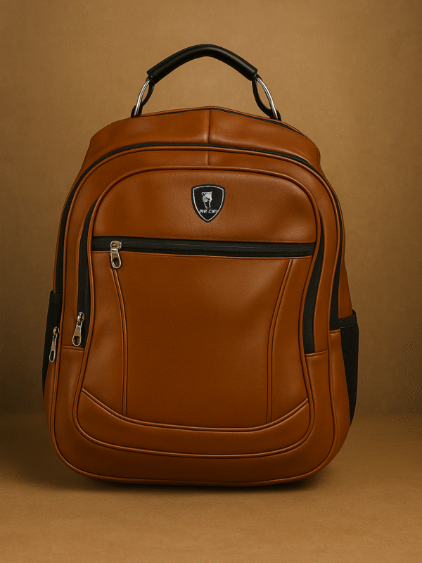 stylish bag (Backpack)