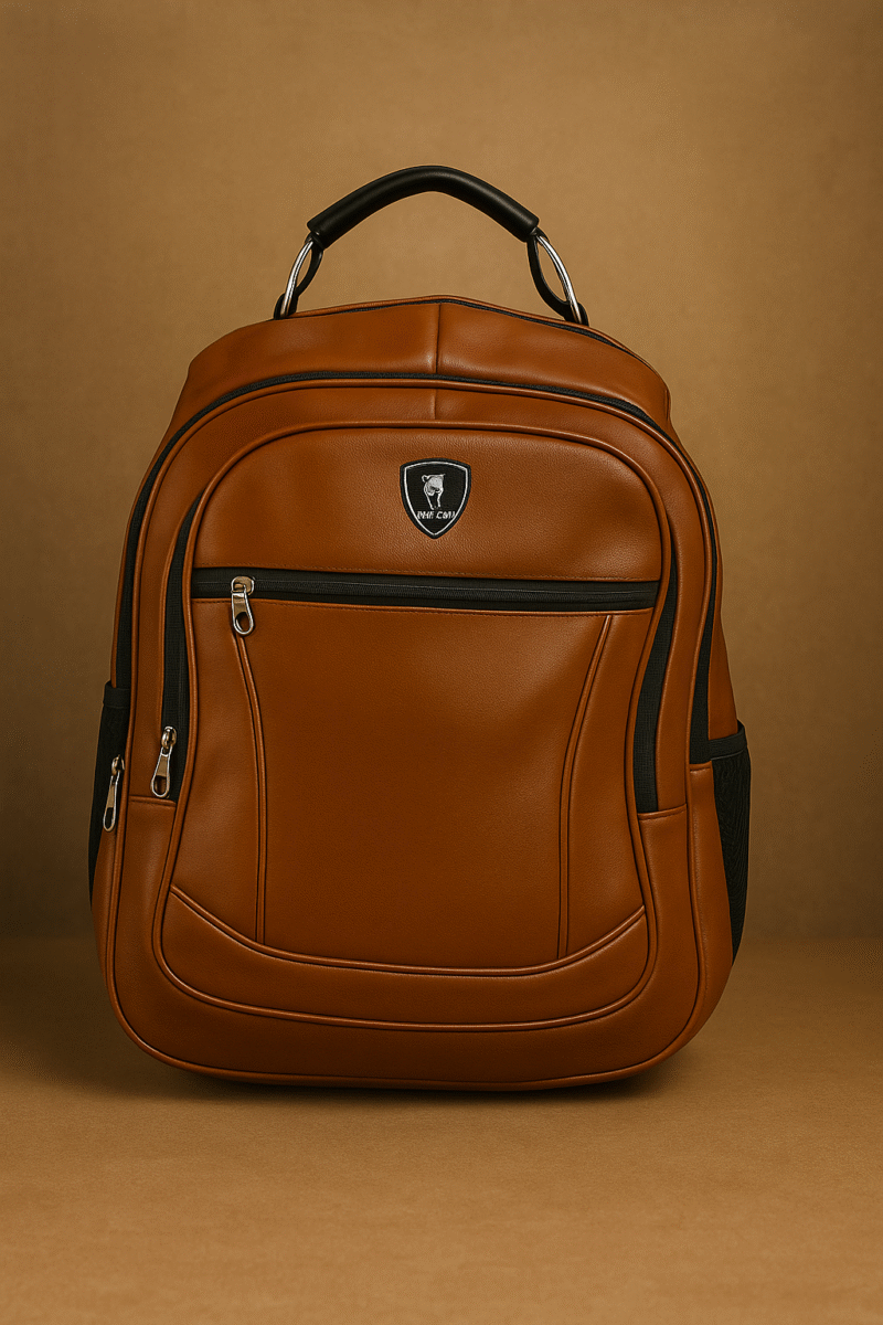 stylish bag (Backpack)